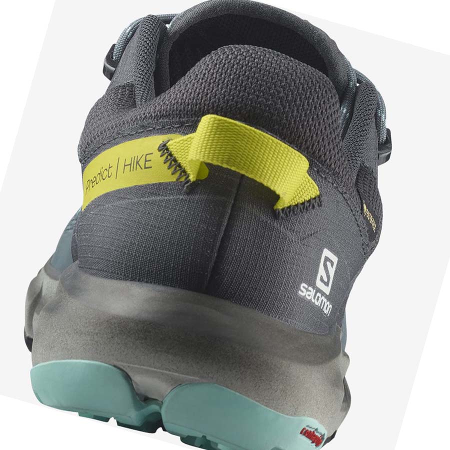 Tenis Senderismo Salomon WoPREDICT HIKE GORE-TEX Mujer Plateados | MX 2789DFM